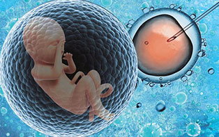 冻存卵巢组织再移植，让癌症患者也能生宝宝